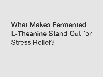 What Makes Fermented L-Theanine Stand Out for Stress Relief?