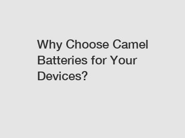 Why Choose Camel Batteries for Your Devices?