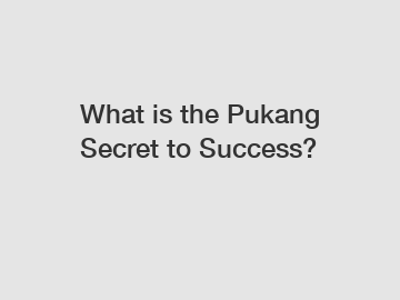 What is the Pukang Secret to Success?