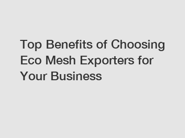Top Benefits of Choosing Eco Mesh Exporters for Your Business