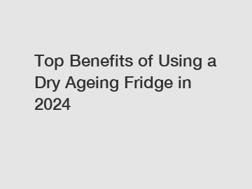 Top Benefits of Using a Dry Ageing Fridge in 2024