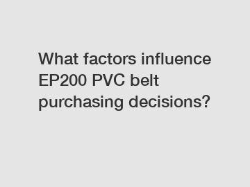 What factors influence EP200 PVC belt purchasing decisions?