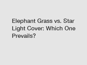 Elephant Grass vs. Star Light Cover: Which One Prevails?