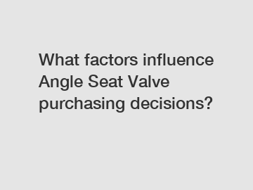 What factors influence Angle Seat Valve purchasing decisions?