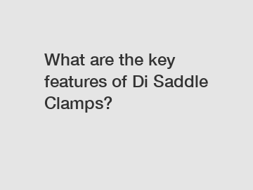 What are the key features of Di Saddle Clamps?