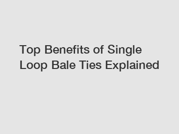 Top Benefits of Single Loop Bale Ties Explained