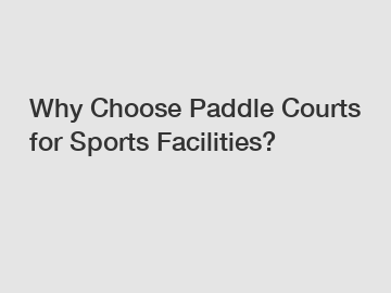 Why Choose Paddle Courts for Sports Facilities?