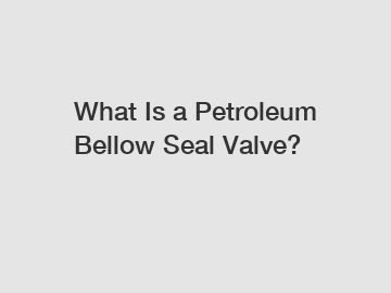 What Is a Petroleum Bellow Seal Valve?