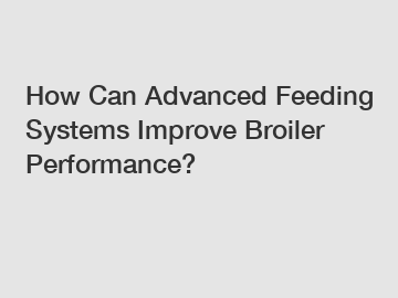 How Can Advanced Feeding Systems Improve Broiler Performance?
