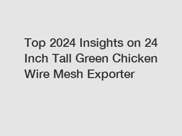 Top 2024 Insights on 24 Inch Tall Green Chicken Wire Mesh Exporter