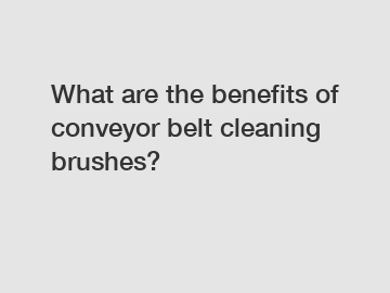 What are the benefits of conveyor belt cleaning brushes?