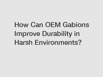 How Can OEM Gabions Improve Durability in Harsh Environments?