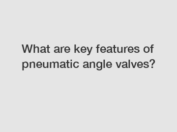 What are key features of pneumatic angle valves?