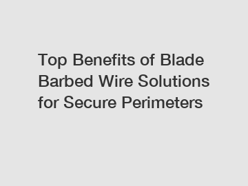Top Benefits of Blade Barbed Wire Solutions for Secure Perimeters
