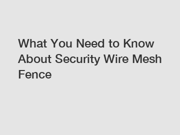 What You Need to Know About Security Wire Mesh Fence