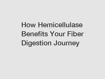 How Hemicellulase Benefits Your Fiber Digestion Journey