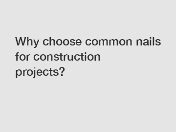 Why choose common nails for construction projects?