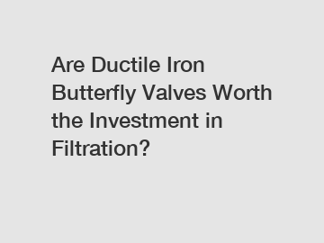 Are Ductile Iron Butterfly Valves Worth the Investment in Filtration?