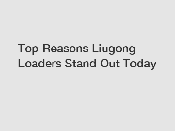 Top Reasons Liugong Loaders Stand Out Today