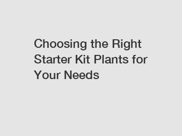 Choosing the Right Starter Kit Plants for Your Needs