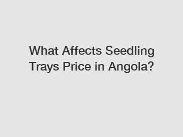 What Affects Seedling Trays Price in Angola?