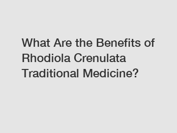 What Are the Benefits of Rhodiola Crenulata Traditional Medicine?