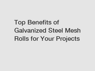 Top Benefits of Galvanized Steel Mesh Rolls for Your Projects