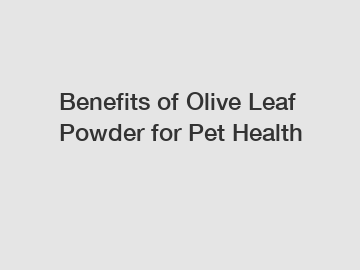 Benefits of Olive Leaf Powder for Pet Health