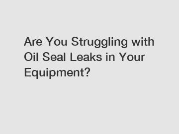 Are You Struggling with Oil Seal Leaks in Your Equipment?