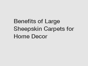 Benefits of Large Sheepskin Carpets for Home Decor