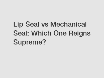 Lip Seal vs Mechanical Seal: Which One Reigns Supreme?