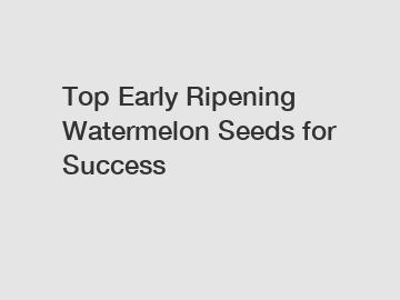 Top Early Ripening Watermelon Seeds for Success