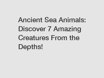 Ancient Sea Animals: Discover 7 Amazing Creatures From the Depths!