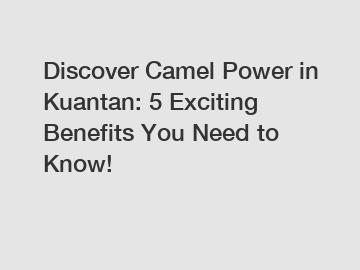 Discover Camel Power in Kuantan: 5 Exciting Benefits You Need to Know!
