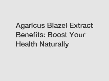 Agaricus Blazei Extract Benefits: Boost Your Health Naturally