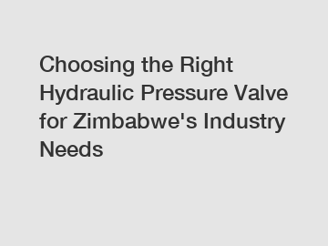 Choosing the Right Hydraulic Pressure Valve for Zimbabwe's Industry Needs