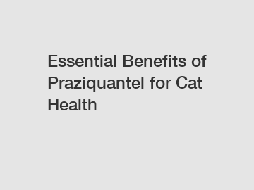 Essential Benefits of Praziquantel for Cat Health