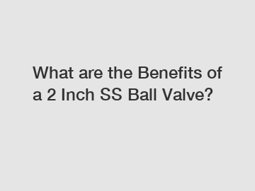 What are the Benefits of a 2 Inch SS Ball Valve?