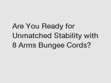 Are You Ready for Unmatched Stability with 8 Arms Bungee Cords?