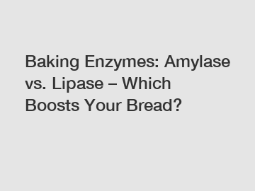 Baking Enzymes: Amylase vs. Lipase – Which Boosts Your Bread?