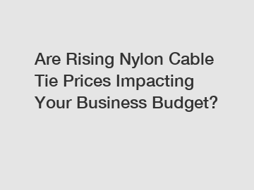 Are Rising Nylon Cable Tie Prices Impacting Your Business Budget?