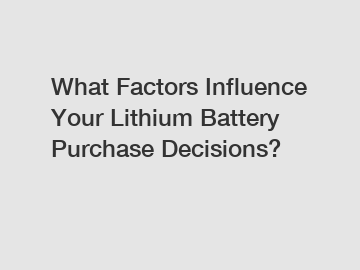 What Factors Influence Your Lithium Battery Purchase Decisions?