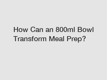 How Can an 800ml Bowl Transform Meal Prep?