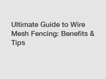 Ultimate Guide to Wire Mesh Fencing: Benefits & Tips