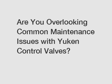 Are You Overlooking Common Maintenance Issues with Yuken Control Valves?