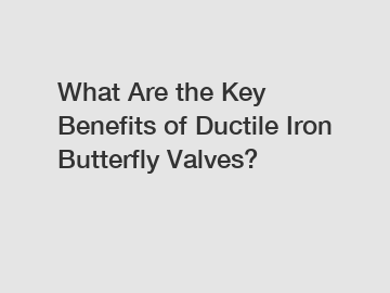 What Are the Key Benefits of Ductile Iron Butterfly Valves?