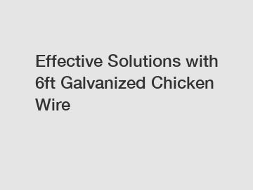 Effective Solutions with 6ft Galvanized Chicken Wire Effective Solutions with 6ft Galvanized Chicken Wire