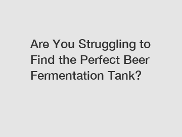 Are You Struggling to Find the Perfect Beer Fermentation Tank?