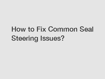 How to Fix Common Seal Steering Issues?