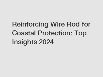 Reinforcing Wire Rod for Coastal Protection: Top Insights 2024